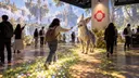 Visitors explore a projected fantasy landscape as one person reaches toward a character beneath a fal sign.