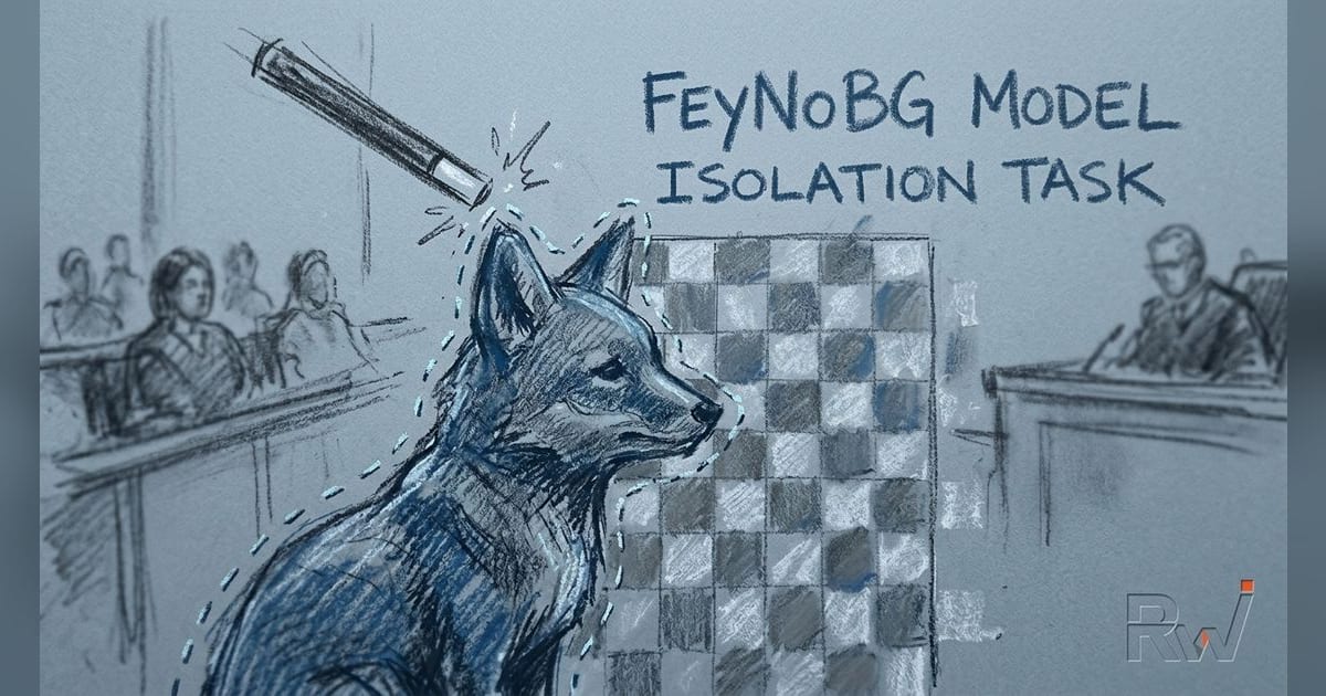 Feyn Labs releases FeyNoBg and open-source NoBg training library
